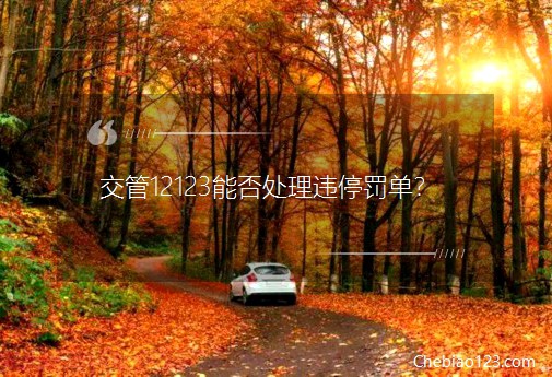 ����12123�ܷ�̎���`ͣ�P����