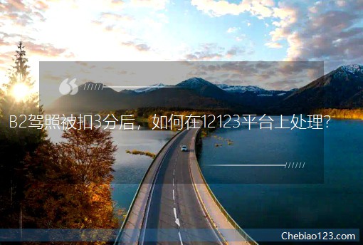 B2�{�ձ���3�ֺ������12123ƽ�_��̎����