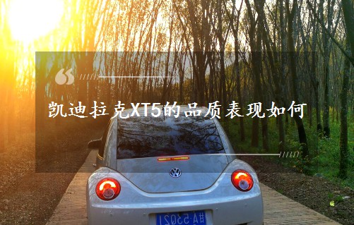 �P������XT5��Ʒ�|���F���
