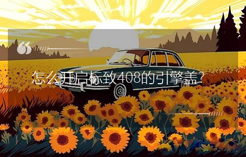 ��ô�_������408�������w��