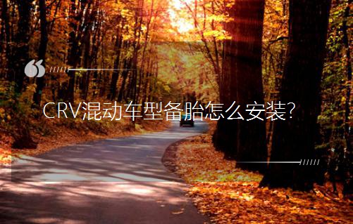 CRV���܇�͂�̥��ô���b��