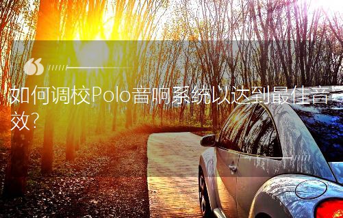 ����{УPolo���ϵ�y���_�������Ч��