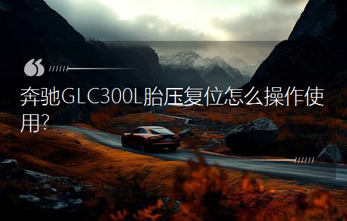 ���YGLC300L̥����λ��ô����ʹ�ã�