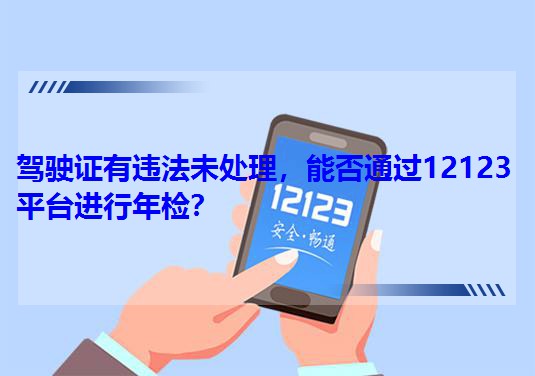 �{��C���`��δ̎�����ܷ�ͨ�^12123ƽ�_�M����z��