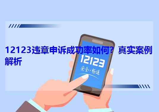 12123�`�����V�ɹ���������挍��������