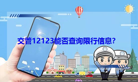 ����12123�ܷ��ԃ������Ϣ��
